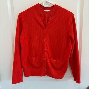Free Assembly Cozy Yarn Welt Pocket Cable Cardigan and Shell Vest